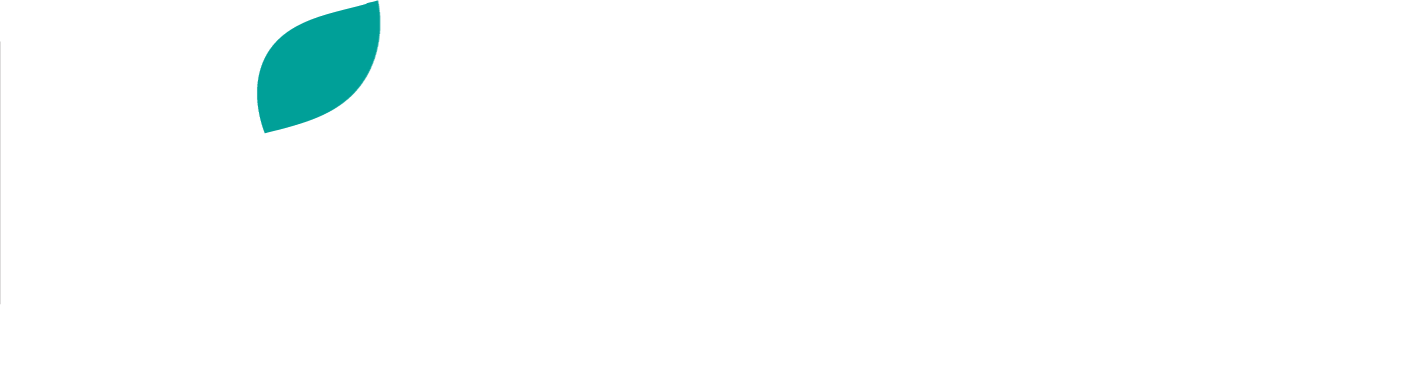 Lisure-logo-white